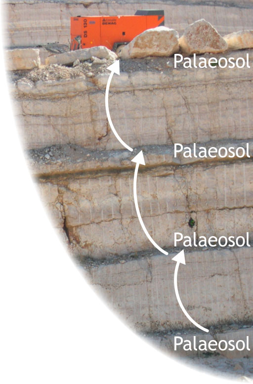 quarry palaeosol example